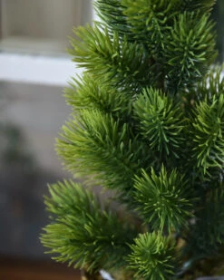 Dennenboom Met Kraft Papieren Pot, IB Laursen 12 Dennenboom Met Kraft Papieren Pot, IB Laursen -Ib Laursen dennenboom met kraft papieren pot ib laursen 2