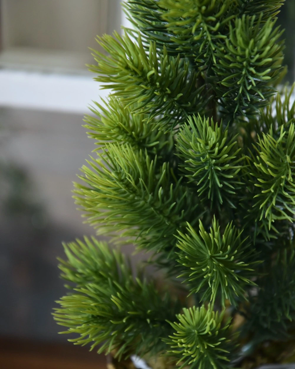 Dennenboom Met Kraft Papieren Pot, IB Laursen 5 Dennenboom Met Kraft Papieren Pot, IB Laursen - Afbeelding 3