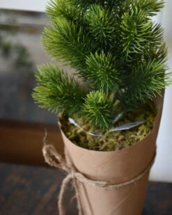 Dennenboom Met Kraft Papieren Pot, IB Laursen 17 Dennenboom Met Kraft Papieren Pot, IB Laursen -Ib Laursen dennenboom met kraft papieren pot ib laursen 7