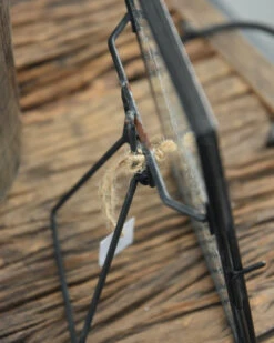 Fotolijst Met Standaard, IB Laursen 12 Fotolijst Met Standaard, IB Laursen -Ib Laursen fotolijst met standaard ib laursen 3