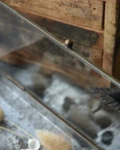 Glazen Kistje In Antiek-look Met Zinken Bodem, IB Laursen 11 Glazen Kistje In Antiek-look Met Zinken Bodem, IB Laursen -Ib Laursen glazen kistje in antiek look met zinken bodem ib laursen 3