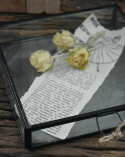 Glazen Kistje Met Zinken Bodem, IB Laursen 11 Glazen Kistje Met Zinken Bodem, IB Laursen -Ib Laursen glazen kistje met zinken bodem ib laursen 2