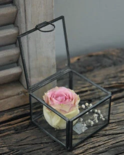 Glazen Kistje Vierkant, IB Laursen -Ib Laursen glazen kistje vierkant ib laursen 3