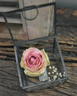 Glazen Kistje Vierkant, IB Laursen -Ib Laursen glazen kistje vierkant ib laursen 4