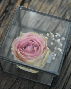 Glazen Kistje Vierkant, IB Laursen -Ib Laursen glazen kistje vierkant ib laursen 6