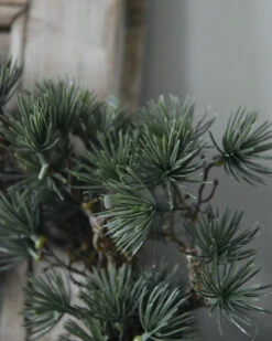 Grote Groene Kerstgroen Krans Cedar, IB Laursen -Ib Laursen grote groene kerstgroen krans cedar ib laursen 2