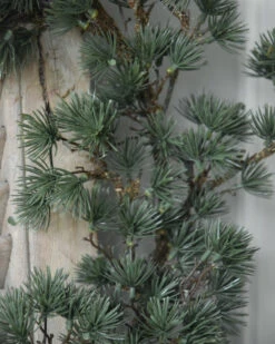 Grote Groene Kerstgroen Krans Cedar, IB Laursen -Ib Laursen grote groene kerstgroen krans cedar ib laursen 3