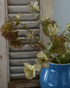 Kan In Korenbloem Kleur, Mynte 13 Kan In Korenbloem Kleur, Mynte -Ib Laursen kan in korenbloem kleur mynte 5