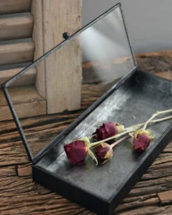 Langwerpig Kistje Met Glazen Deksel 12 Langwerpig Kistje Met Glazen Deksel -Ib Laursen langwerpig kistje met glazen deksel 2