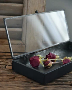 Langwerpig Kistje Met Glazen Deksel 15 Langwerpig Kistje Met Glazen Deksel -Ib Laursen langwerpig kistje met glazen deksel 5