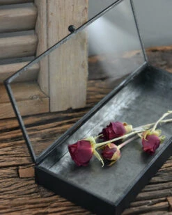 Langwerpig Kistje Met Glazen Deksel 17 Langwerpig Kistje Met Glazen Deksel -Ib Laursen langwerpig kistje met glazen deksel 7