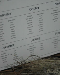 Seizoensbord Voor Groente, IB Laursen -Ib Laursen seizoensbord voor groente ib laursen 1 2