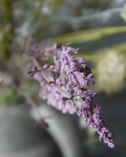 Veldboeket In Pastel Groenen, Lila, Paars En Taupe, 'zijdebloemen' 13 Veldboeket In Pastel Groenen, Lila, Paars En Taupe, 'zijdebloemen' -Ib Laursen veldboeket in pastel paars zijdebloemen 1 3